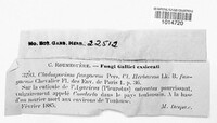 Cladosporium fungorum image